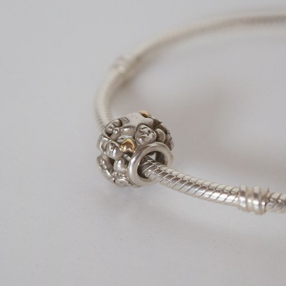 PANDORA Family Forever Charm I Sterling Silver with 14k Yellow Gold 791040 - Picture 13 of 15